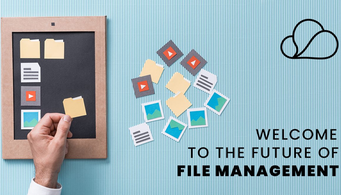 FILE-MANAGEMENT-LINK