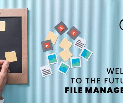 FILE-MANAGEMENT-LINK