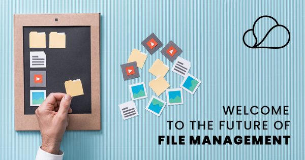 FILE-MANAGEMENT-LINK