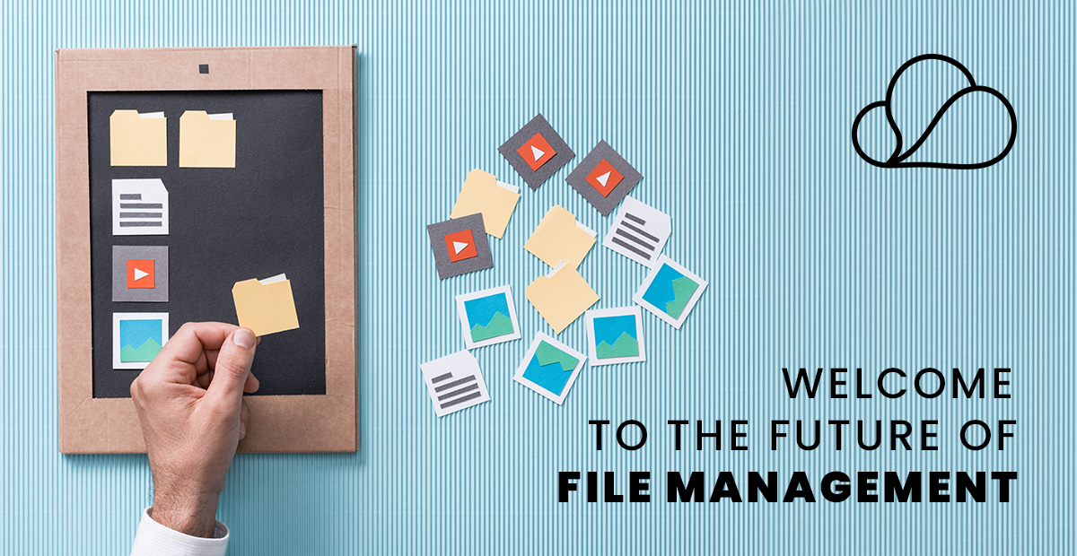 FILE-MANAGEMENT-LINK